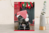 "Joyful Spirit" - Retired Holiday Cards in Alizarin by Alex Elko Design - Front