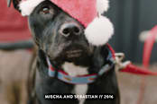 "Joyful Spirit" - Retired Holiday Cards in Alizarin by Alex Elko Design - Close-Up