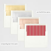 "Mr. & Mrs." - Retired Holiday Cards in Snow by Mandy Rider - Envelope Liners
