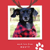 "Reindeer Ears" - Retired Holiday Cards in Berry by Hooray Creative - Close-Up
