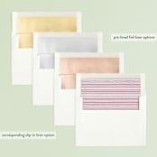 "Edgeline" - Retired Holiday Cards in Pewter by Annie Clark - Envelope Liners