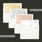 "most simple" - Retired Holiday Cards in Ruby by Phrosné Barwood - Envelope Liners