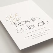 "Aula" - Save the Dates in Snow by Itsy Belle Studio - Detail