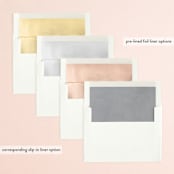 "&" - Save the Dates in Snow by Lori Wemple - Envelope Liner Options