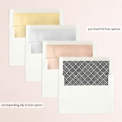 "Magnetic" - Save the Dates in Onyx by Jessica Williams - Envelope Liner Options