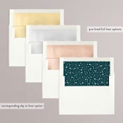 "Starry Eyed" - Save the Dates in Midnight by Leah Bisch - Envelope Liner Options