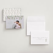 "Growing Together" - Save the Dates in Petunia by Claudia Orengo - Assembled