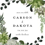 "Agave & Greens" - Save the Dates in Frosting by Susan Moyal - Detail