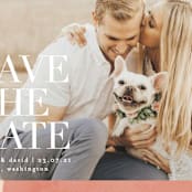 "Galeria" - Save the Dates in Autumn by Kelly Schmidt - Detail