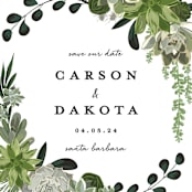 "Agave & Greens" - Save the Dates in Frosting by Susan Moyal - Detail