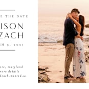 "Elegant Space" - Save the Dates in Sugar by Jessica Williams - Detail