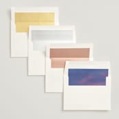 "Whole New World from Disney's Aladdin" - Save the Dates in Moonstone by Creo Study - Envelope Liner Options