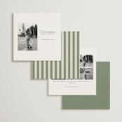 "classic bold border" - Save the Dates in Olive by Cass Loh - Back of Card Options
