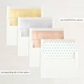 "it's on!" - Save the Dates in Frosting by Sara Hicks Malone - Envelope Liner Options
