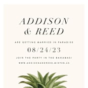 "Party in Paradise" - Save the Dates in Pineapple by Erin Hodges - Detail
