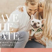 "Galeria" - Save the Dates in Autumn by Kelly Schmidt - Detail