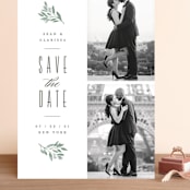 "botanica" - Save the Dates in Sage by Hooray Creative - Front