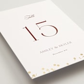 "Brooklyn Bridge" - Table Numbers in Chiffon by Cass Loh - Detail