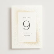 "Flicker" - Table Numbers in Sparkle by Pixel and Hank - Front