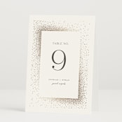 "Flicker" - Table Numbers in Sparkle by Pixel and Hank - Folded