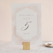 "Sparkling Champagne" - Table Numbers in Blush by Kristie Kern - Front