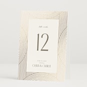 "Moderne" - Table Numbers in Alabaster by Pixel and Hank - Folded