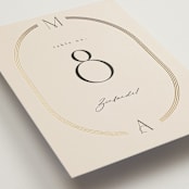 "Misha" - Table Numbers in Latte by Kristie Kern - Detail