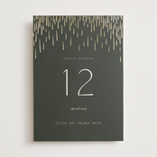 "Fringe" - Table Numbers in Midnight by Leah Bisch - Front