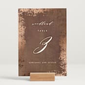 "Woodland Hills" - Table Numbers in Copper by Eric Clegg - Displayed (stand not included)