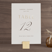 "Gilded Ampersand" - Table Numbers in Pearl by Hooray Creative - Front