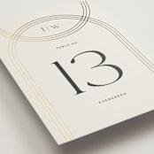 "Curves" - Table Numbers in Chiffon by Amy Payne - Detail