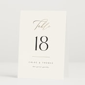 "Overlay" - Table Numbers in Silk by Kelly Schmidt - Folded