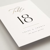 "Overlay" - Table Numbers in Silk by Kelly Schmidt - Detail