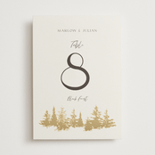 "Vista" - Table Numbers in Fallen Snow by Robin Ott - Front