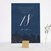 "Aspen" - Table Numbers in Midnight by Kristie Kern - Front