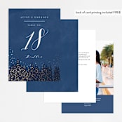 "Aspen" - Table Numbers in Midnight by Kristie Kern - Back of Card Options