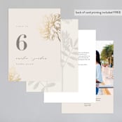 "Sophisticated" - Table Numbers in Ivory by Kelly Schmidt - Back of Card Options