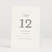 "Overlay" - Table Numbers in Dove by Meggy Masters - Folded