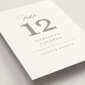 "Overlay" - Table Numbers in Dove by Meggy Masters - Detail