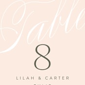 "Classic Lux" - Table Numbers in Blush by Stacey Day - Detail
