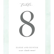 "Caliza" - Table Numbers in Seafoam by Lauren Chism - Detail