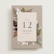 "Autumnal" - Table Numbers in Natural by Alethea and Ruth - Front