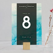 "Ombio" - Table Numbers in Aqua by GeekInk Design - Front