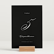 "Classically Elegant" - Table Numbers in Snow by Brandy Folse - Displayed (stand not included)