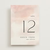 "First light" - Table Numbers in Blush by Itsy Belle Studio - Front