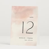 "First light" - Table Numbers in Blush by Itsy Belle Studio - Folded