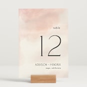 "First light" - Table Numbers in Blush by Itsy Belle Studio - Displayed (stand not included)