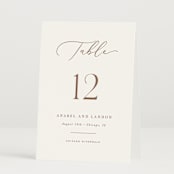 "Luxe script" - Table Numbers in Pearl by Hooray Creative - Folded