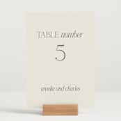 "Modernique" - Table Numbers in Stone by Ashlee Townsend - Displayed (stand not included)