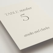 "Modernique" - Table Numbers in Stone by Ashlee Townsend - Detail